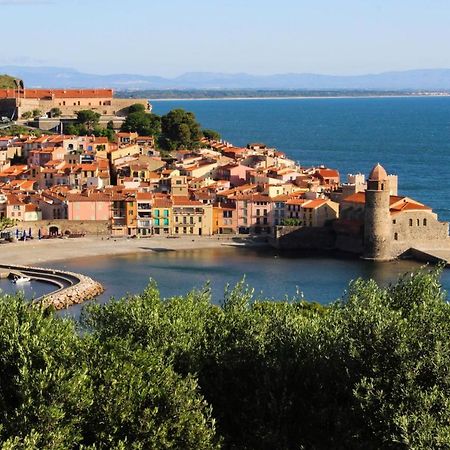 Cosy Nid Douillet Au Coeur Du Centre Ville De Perpignan Eksteriør billede