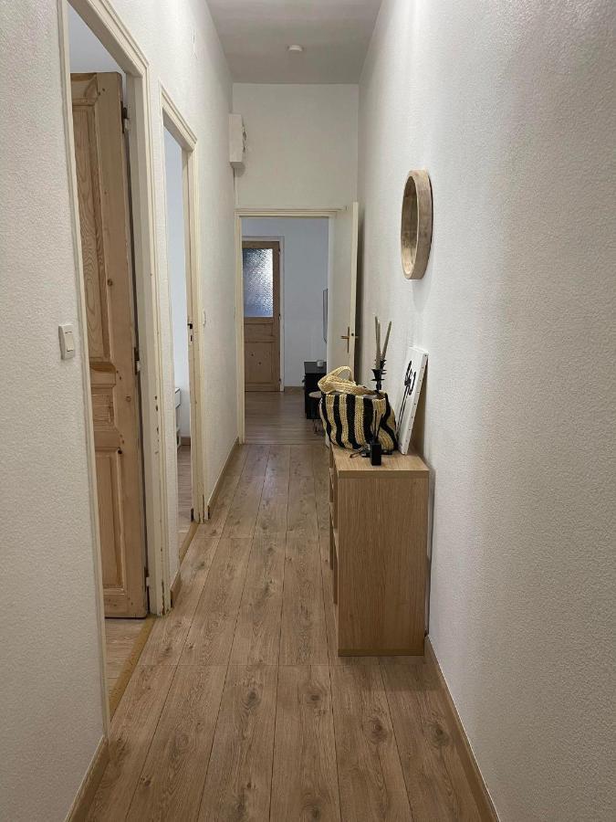 Cosy Nid Douillet Au Coeur Du Centre Ville De Perpignan Eksteriør billede