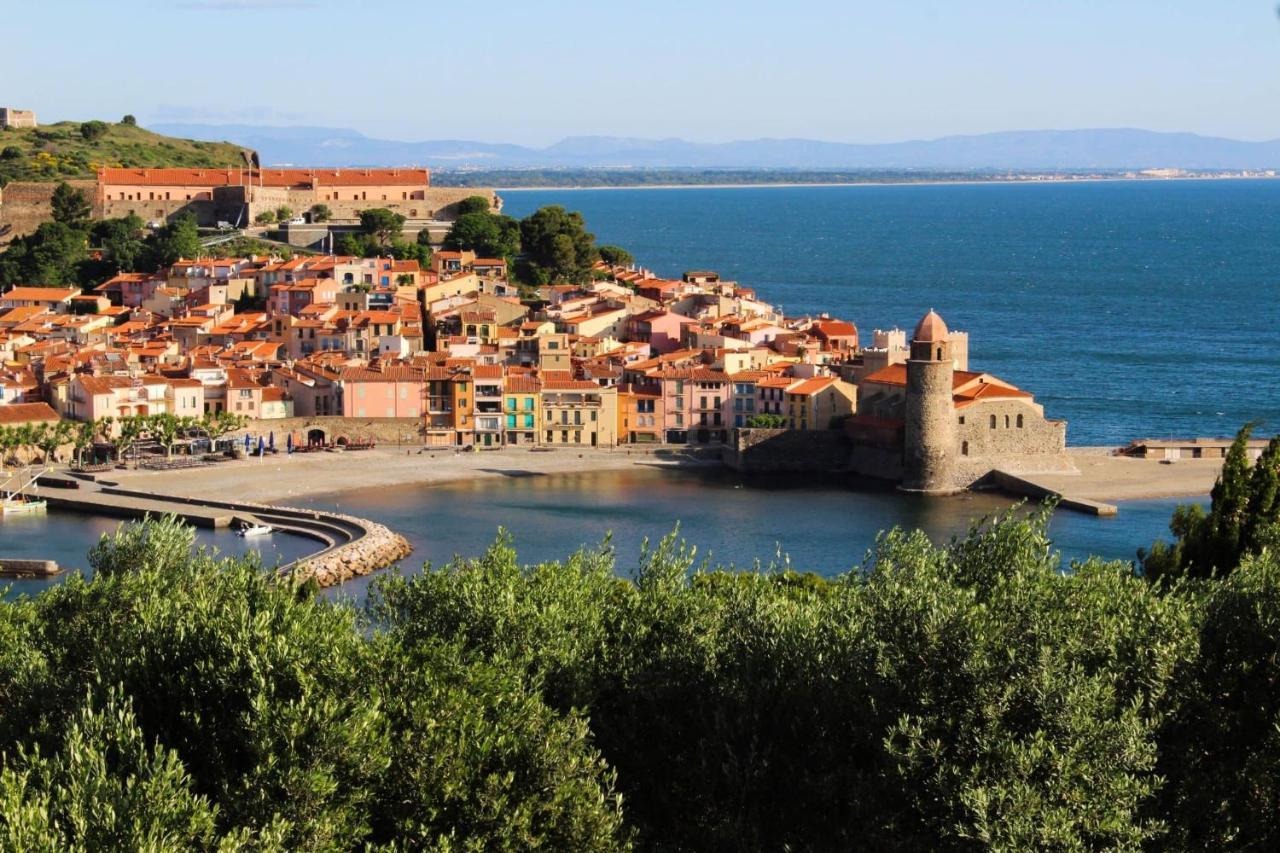 Cosy Nid Douillet Au Coeur Du Centre Ville De Perpignan Eksteriør billede